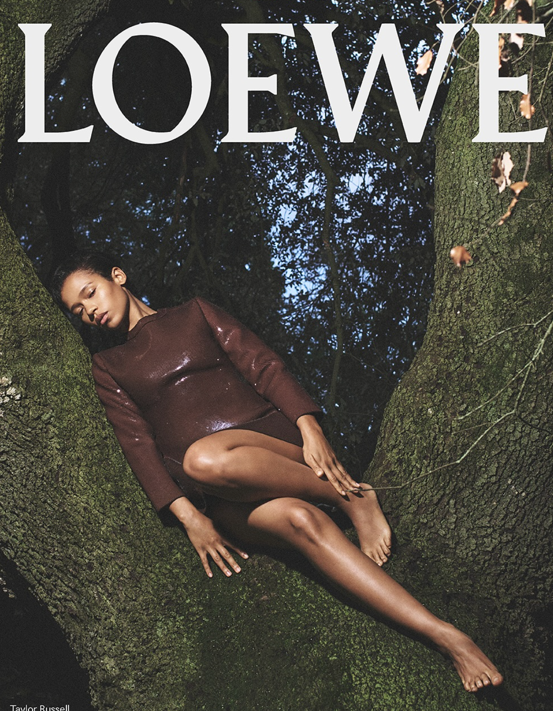 Loewe