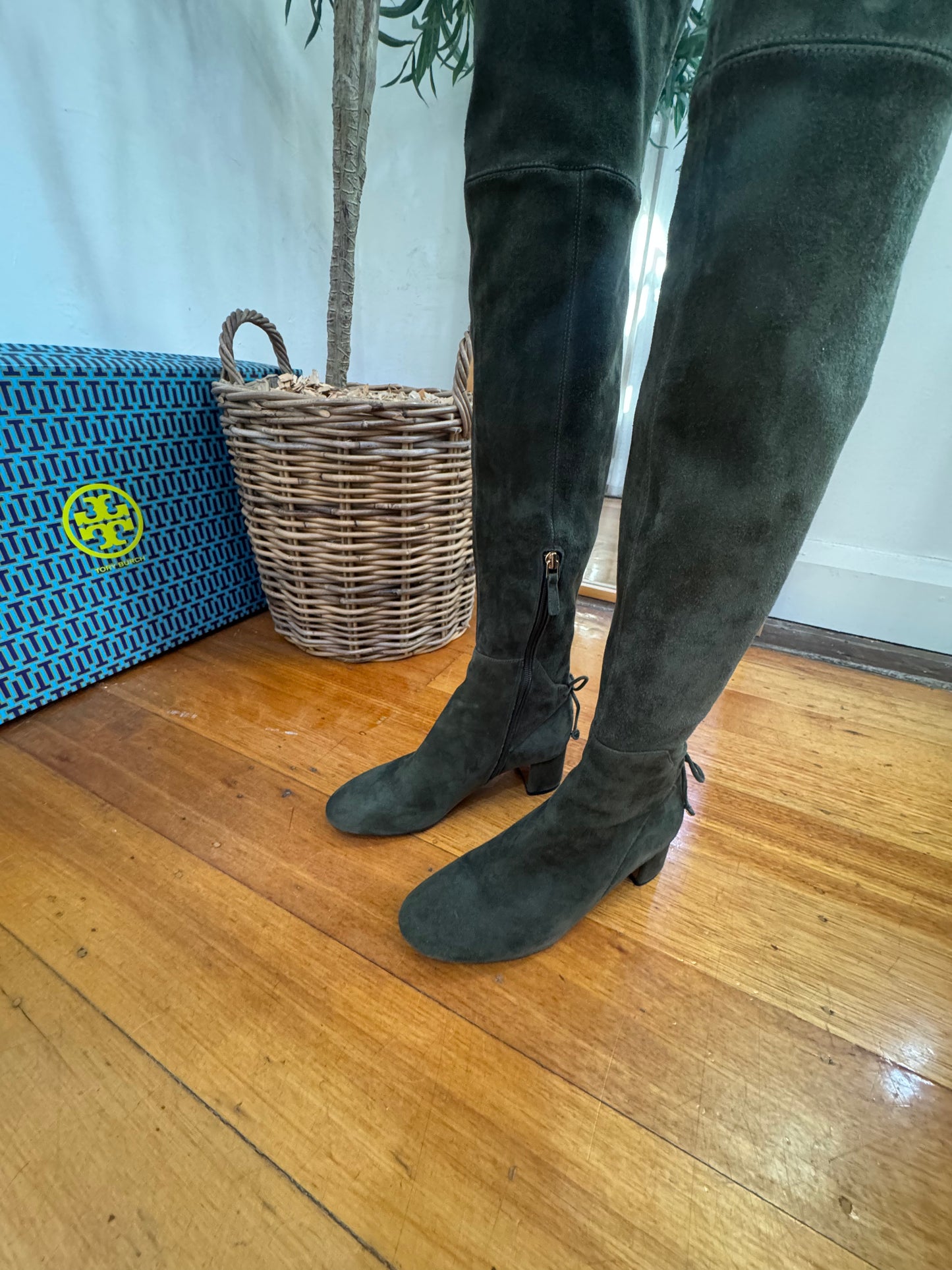 Tory Burch Laila Stretch Suede Over Knee Boots - Size 6.5 (Brand New in Box)