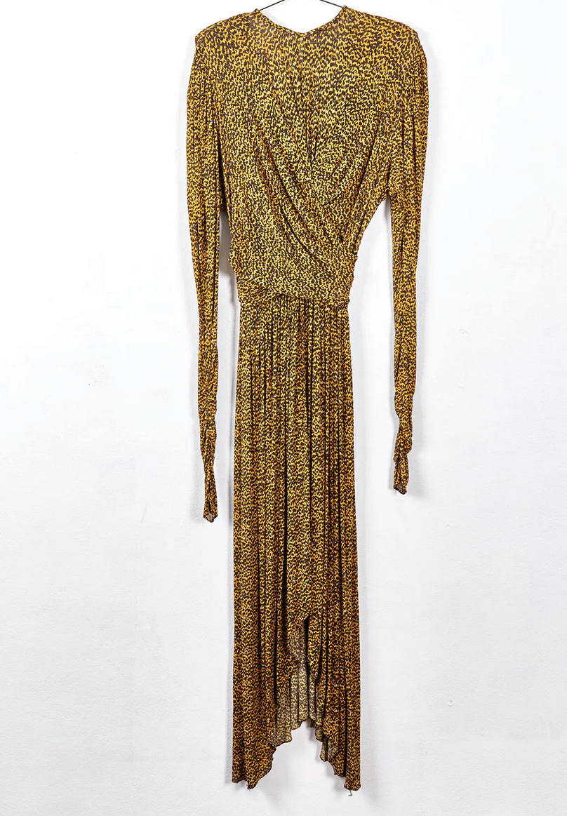 Isabel Marant Jucienne Printed Max Dress - Size 38