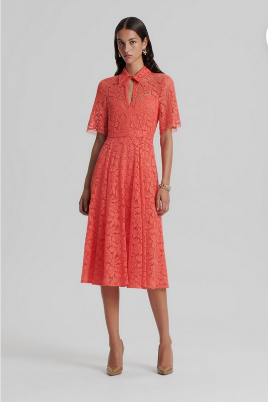 Scanlan Theodore French Lace Dress with Slip - Size 12
